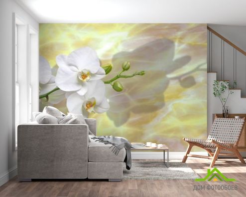 выбрать Фотошпалери білі орхідеї на жовтому фоні Фотошпалери, колір: «квадратна, горизонтальна» на стіну