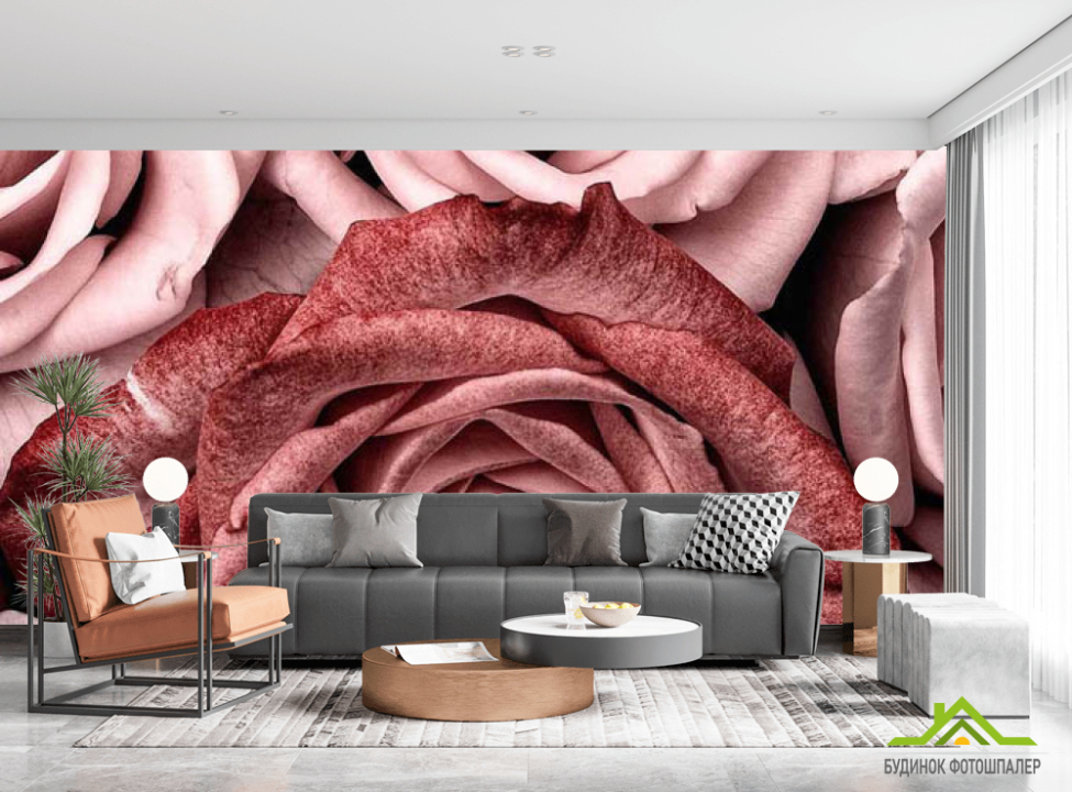 выбрать Фотошпалери троянди винного кольору Каталог фотошпалер на стіну