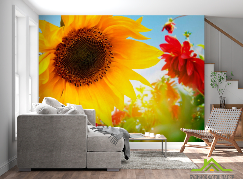 выбрать Фотошпалери Соняшник і гербера Каталог фотошпалер на стіну