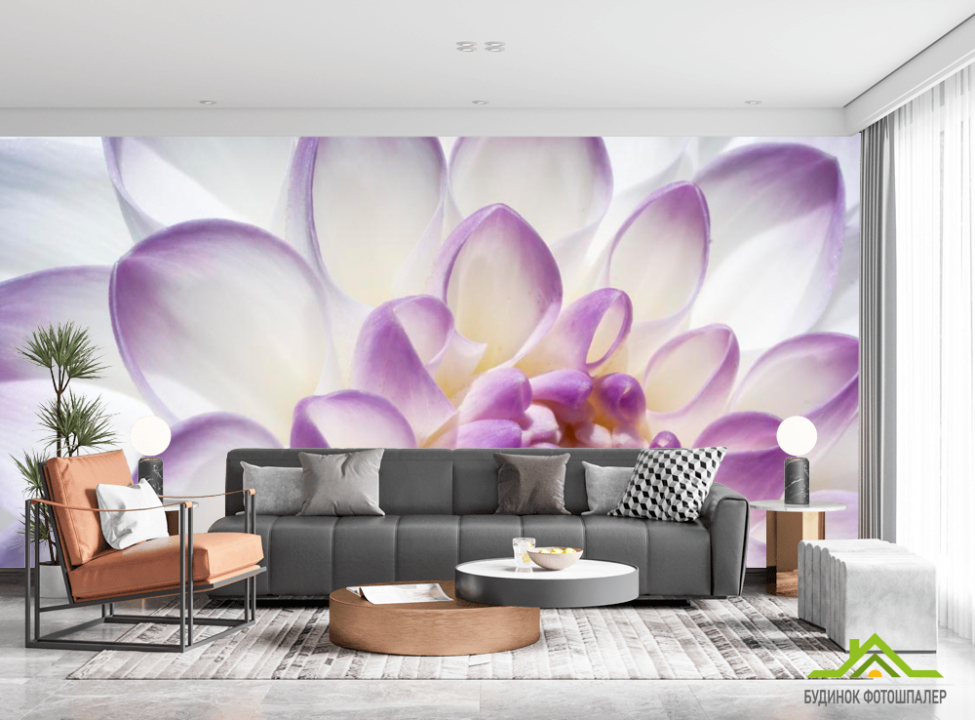 выбрать Фотообои Лепестки пиона бело-фиолетовые Каталог фотообоев на стену