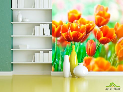 выбрать Фотообои Красно-желтые тюльпаны Фотообои Цветы на стену