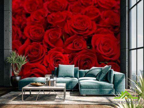 выбрать Фотошпалери Букет червоних троянд  на стіну