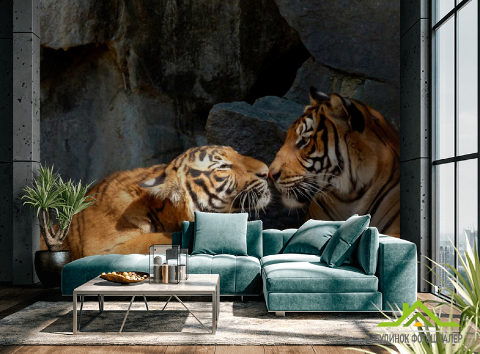 выбрать Фотошпалери Ніжність тигрів Каталог фотошпалер на стіну