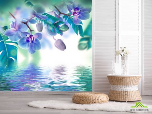 выбрать Фотообои Синие орхидеи Фотообои на шкаф купе на стену