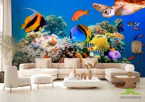 выбрать Фотообои Множество рыб Фотообои Фотообои Море: фото  на стену
