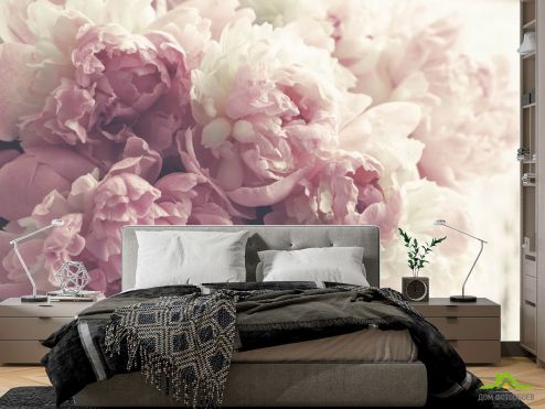 выбрать Фотошпалери Пудрові квіти в букеті Спальня: квадратна, горизонтальна орієнтація на стіну
