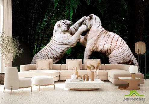 выбрать Фотообои Драка белых тигров Зеленые фотообои на стену
