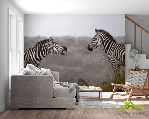 выбрать Фотообои Общение зебр Фотообои Животные на стену