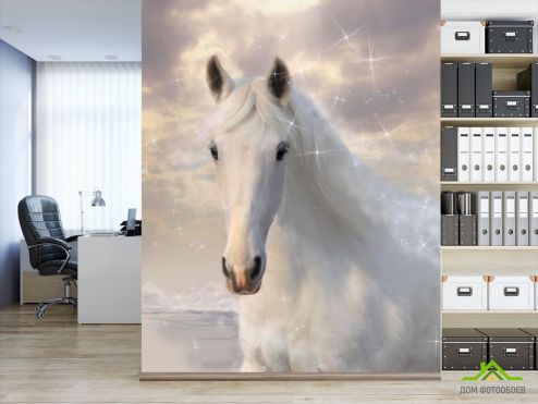 выбрать Фотообои Белоснежная красавица Фотообои, цвет: «Лошади» на стену