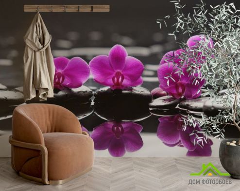 выбрать Фотообои Орхидеи малинового цвета Фотообои Фотообои Цветы: фото, розовый  на стену