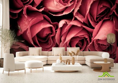 выбрать Фотообои Красные розы Фотообои Фотообои Цветы: фото  на стену