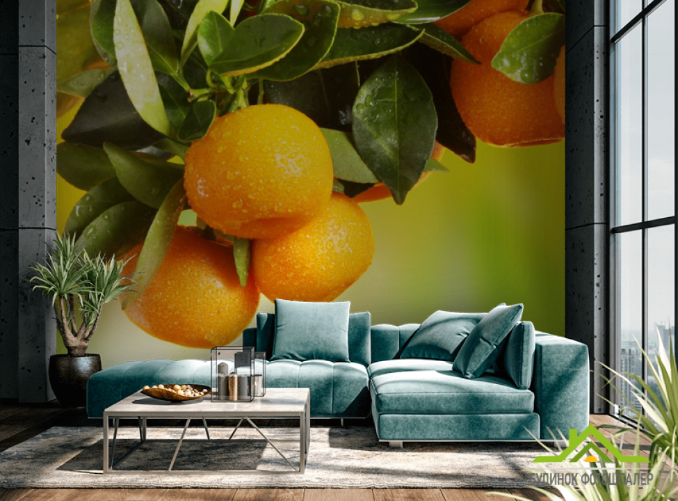 выбрать Фотошпалери Соковиті апельсини Каталог фотошпалер на стіну