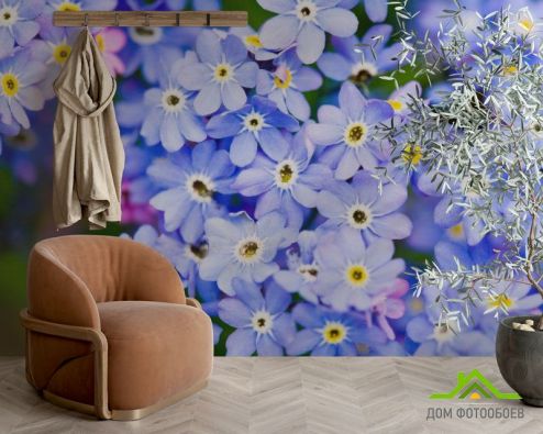 выбрать Фотообои Весенние голубые цветы Голубые фотообои на стену