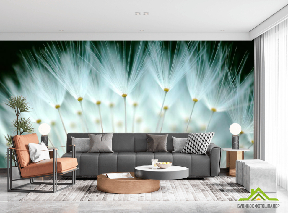 выбрать Фотошпалери Пушок одуванчиковый Фотошпалери Кульбаби на стіну