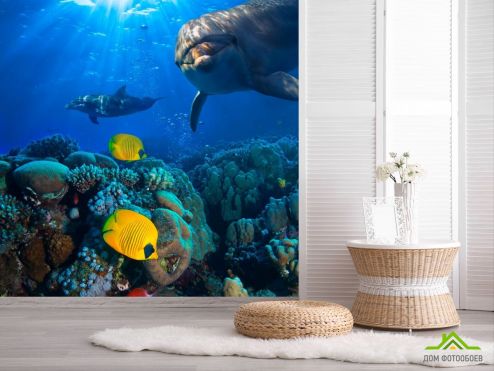 выбрать Фотообои Дельфины и море Фотообои Фотообои Море: фото, синий  на стену
