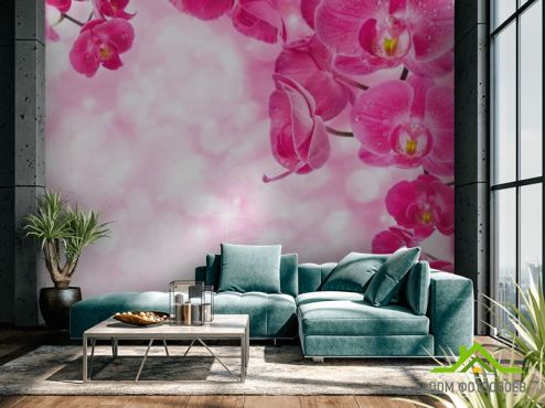 выбрать Фотошпалери Рожеві орхідеї і вода  на стіну