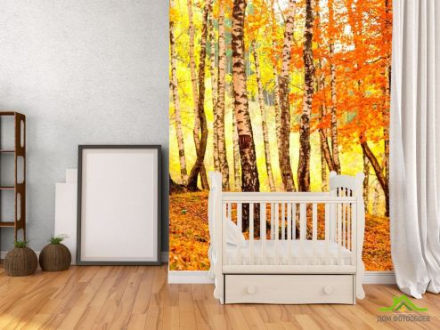 выбрать Фотообои Березовый шёпот Фотообои Фотообои Природа - Осень, оранжевый на стену