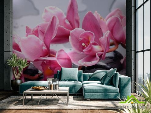 выбрать Фотошпалери Орхідеї рожеві гілкою  на стіну