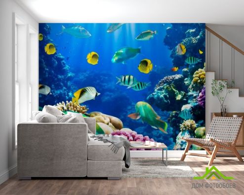 выбрать Фотообои Много рыб Синие фотообои на стену