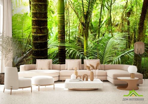 выбрать Фотообои тропические пальмы Фотообои Фотообои Природа: горизонталная, горизонтальная ориентация на стену