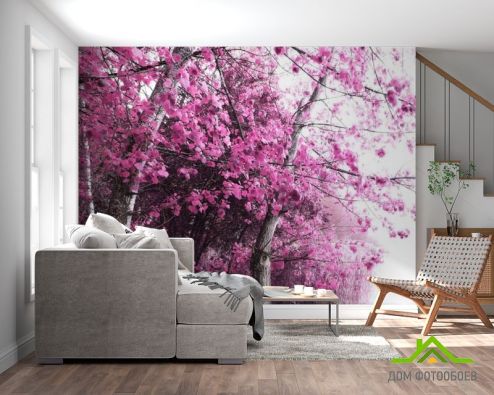 выбрать Фотообои Розовое дерево Фотообои Фотообои Природа: картинка, горизонталная, горизонтальная  на стену