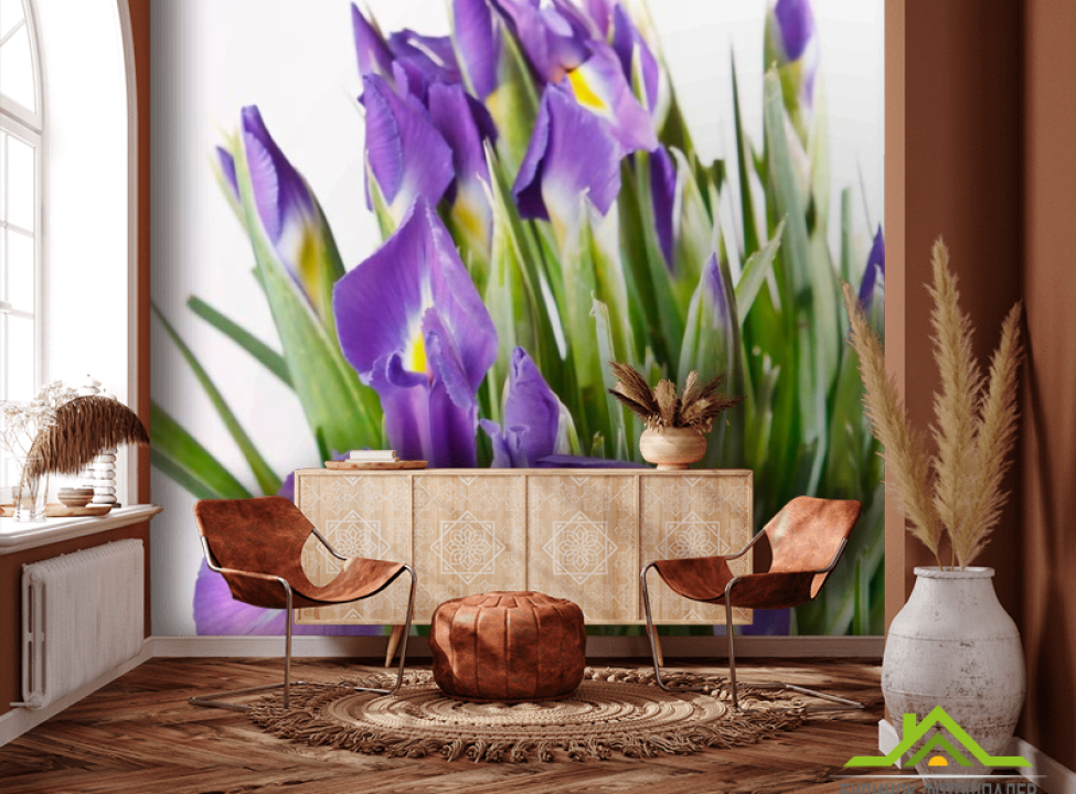 выбрать Фотошпалери Зацвіли проліски Каталог фотошпалер на стіну