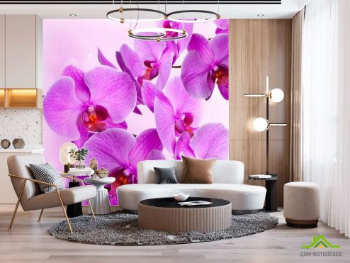 выбрать Фотошпалери Гілочка бузкових орхідей Фотошпалери Фотошпалери Орхідеї: фото, квадратна  на стіну