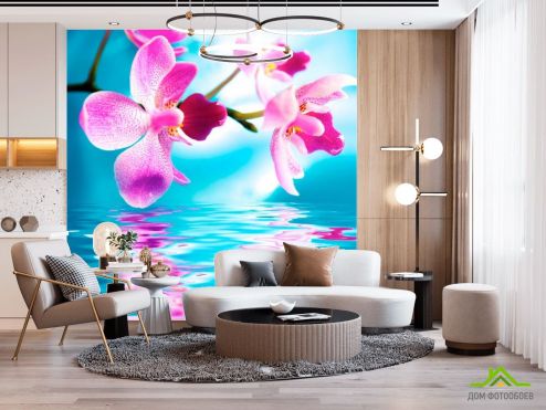 выбрать Фотообои Орхидеи над рекой Фотообои Фотообои Цветы: фото, голубой  на стену