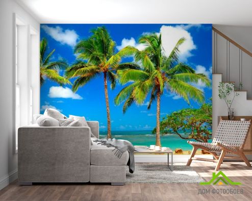 выбрать Фотообои Деревья на пляже Голубые фотообои на стену