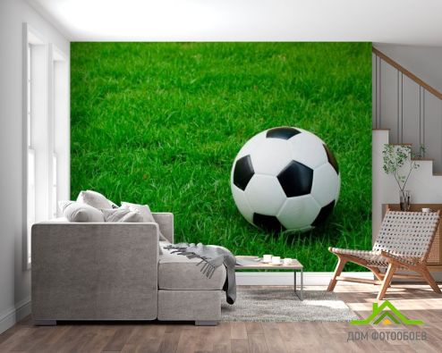 выбрать Фотообои Футбольный мяч Фотообои Фотообои Спорт: горизонталная, горизонтальная ориентация на стену