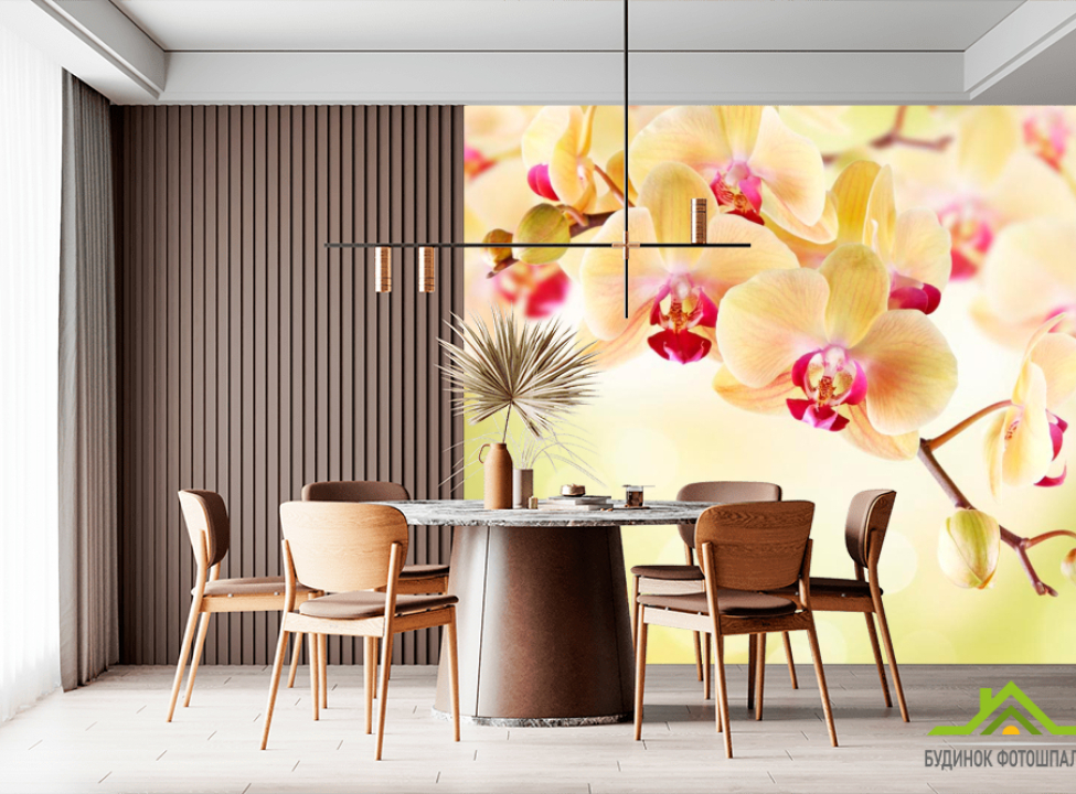 выбрать Фотошпалери Орхідея кремова Каталог фотошпалер на стіну