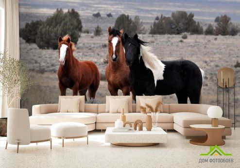выбрать Фотообои Три лошади Фотообои Фотообои Животные: фото, бежевый  на стену