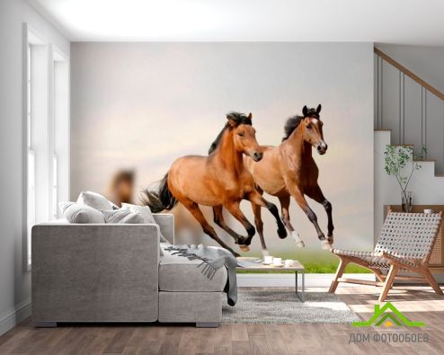 выбрать Фотообои Скачущие кони Фотообои Фотообои Животные: горизонталная, горизонтальная, фото ориентация на стену