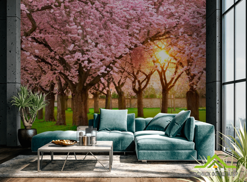 выбрать Фотообои Цветущие вишни Каталог фотообоев на стену