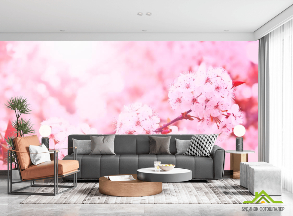 выбрать Фотошпалери Вишневий колір рожевий Каталог фотошпалер на стіну