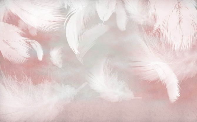 Фотообои Белые перья на розовом фоне