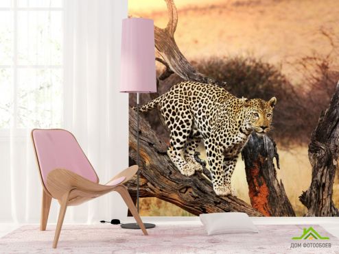 выбрать Фотошпалери леопард на гілці Фотошпалери, колір: «» на стіну