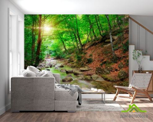 выбрать Фотообои В лесу, ручей Фотообои Фотообои Природа: фото, зелений, зеленый  на стену