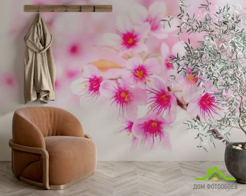 выбрать Фотообои Цветущее весной дерево Фотообои Фотообои Цветы: фото, розовый  на стену