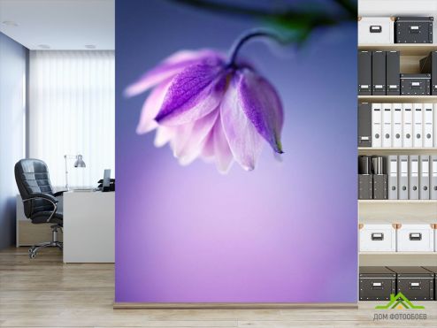 выбрать Фотообои сиреневый цветочек на сиреневом фоне Фотообои Цветы на стену