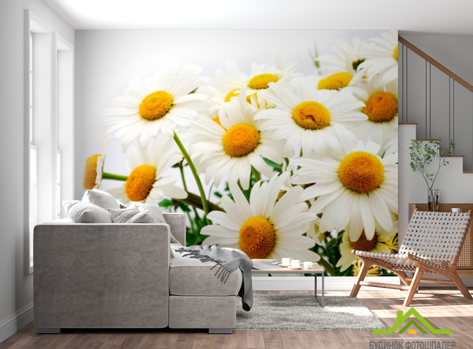 выбрать Фотошпалери Букет польових ромашок Каталог фотошпалер на стіну