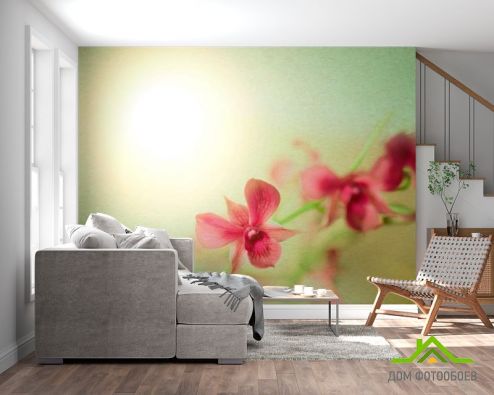 выбрать Фотообои Орхидеи бардовые Зеленые фотообои на стену