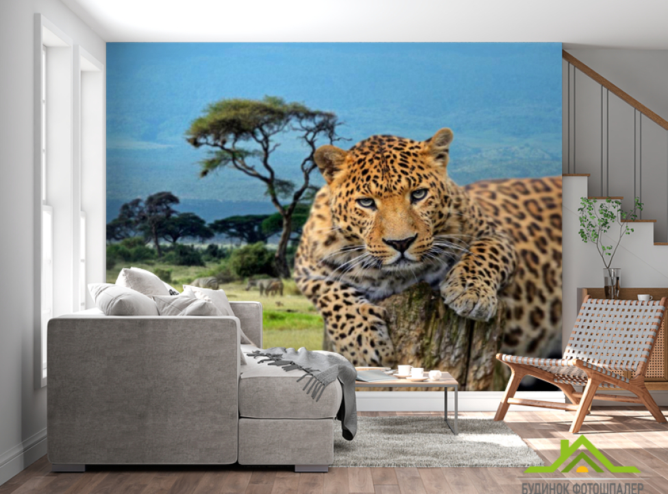 выбрать Фотошпалери Гепард перед стрибком Каталог фотошпалер на стіну