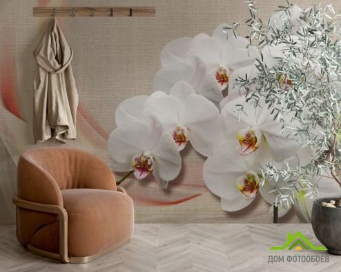 выбрать Фотообои Орхидеи на фоне ткани Фотообои Фотообои Цветы: горизонталная, горизонтальная ориентация на стену