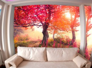 Фотошпалери у білому інтер'єрі