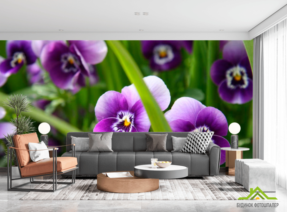 выбрать Фотообои Фиолетовые анютины глазки Каталог фотообоев на стену