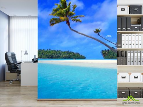 выбрать Фотообои Море и пальмы Фотообои Фотообои Море: фото, голубой  на стену