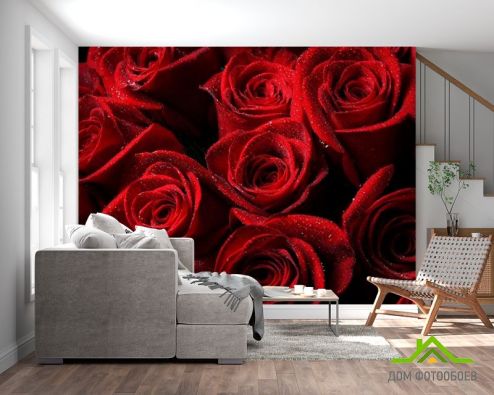 выбрать Фотообои Букет роз алого цвета Фотообои Фотообои Розы: горизонталная, горизонтальная ориентация на стену