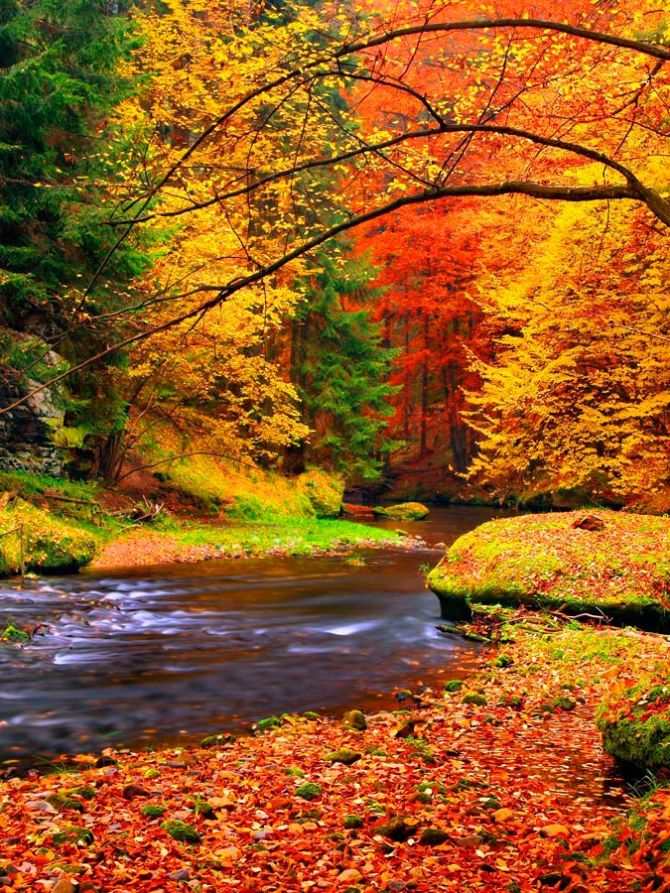Фотошпалери Вода, струмок, осінь