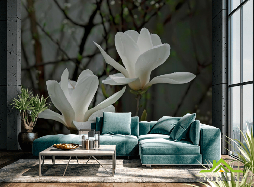 выбрать Фотообои Белоснежные цветки Каталог фотообоев на стену